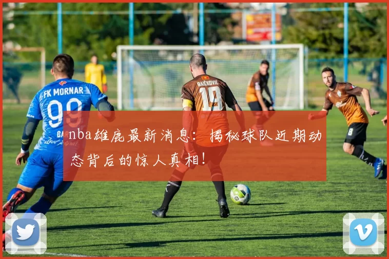 nba雄鹿最新消息：揭秘球队近期动态背后的惊人真相！